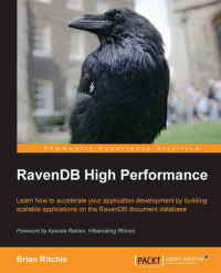RavebDB High Performance