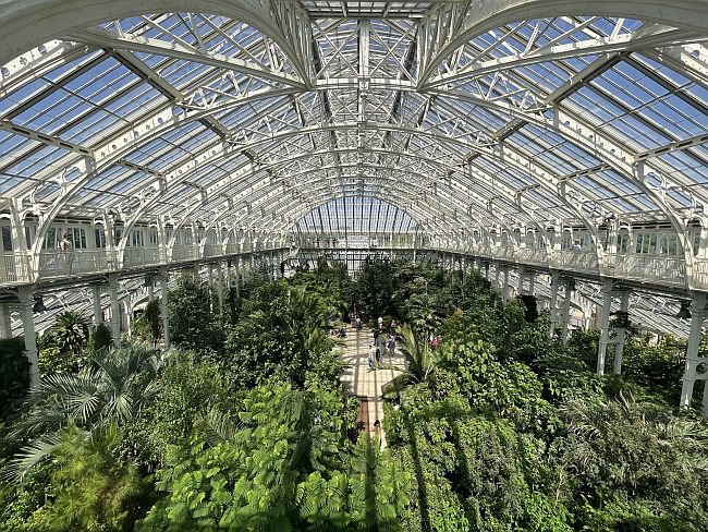 Kew gardens palm house top floor