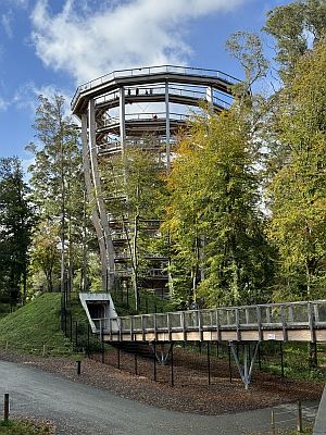 Treetop Walkway Tower