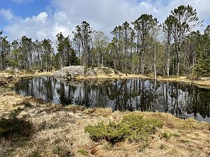 A small lake on top of Floyen, Bergen